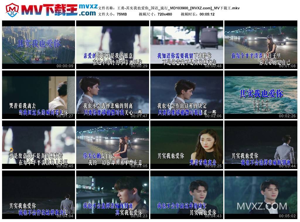 王勇-其实我也爱你_国语_流行_MD103900